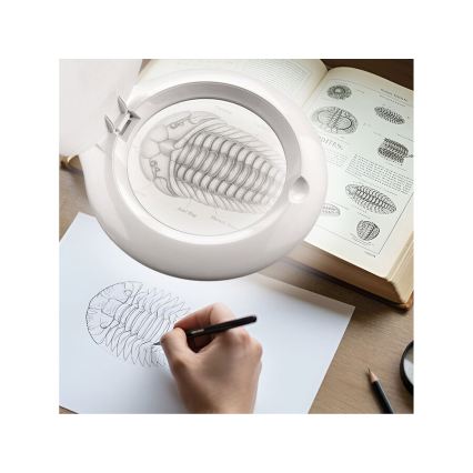 Extol - Димируема LED настолна лампа с лупа LED/10W/230V бяла