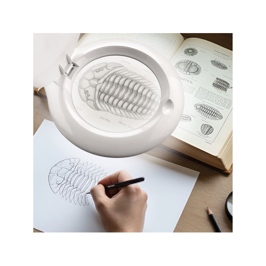Extol - Димируема LED настолна лампа с лупа LED/10W/230V бяла