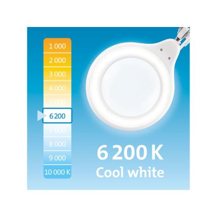 Extol - Димируема LED настолна лампа с лупа LED/10W/230V бяла
