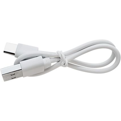 Extol - LED регулируема презареждаема лупа с LED осветление/650 mAh бяла/сива