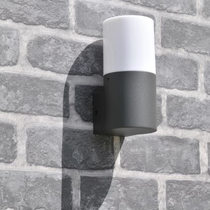 Екстериорен аплик DALLAS 1xE27/12W/230V IP44 антрацит