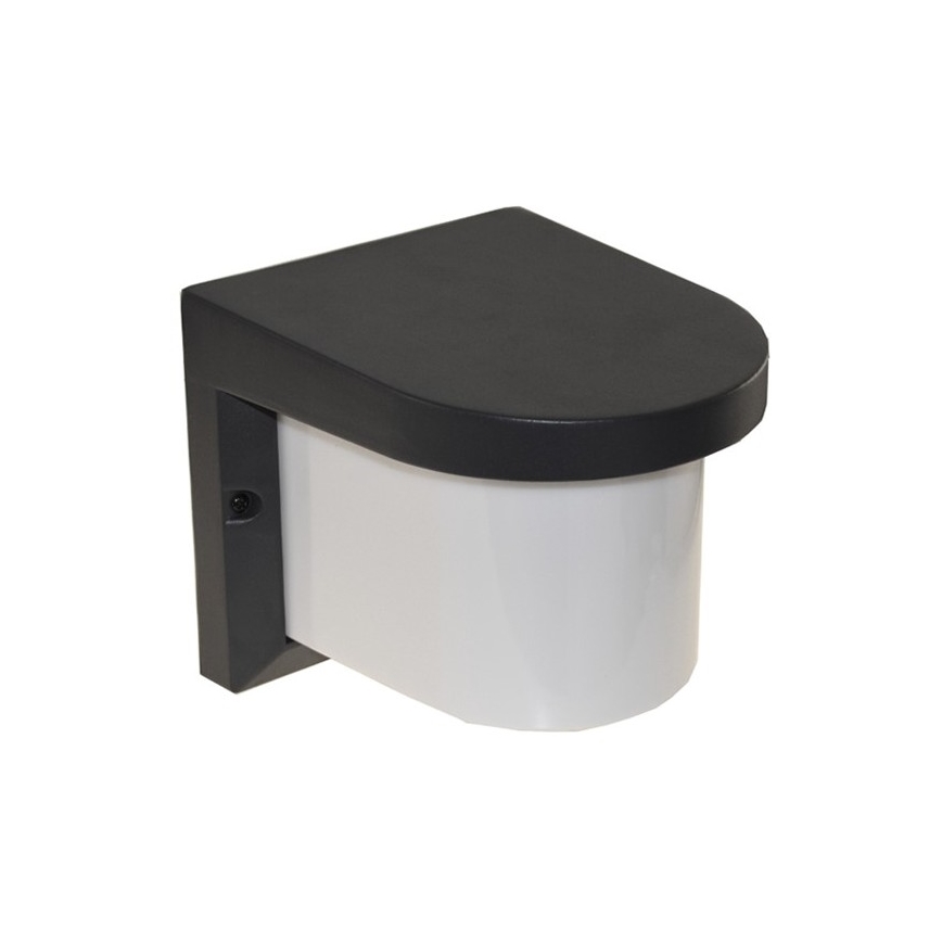Екстериорен аплик PETUNIA 1xE27/60W/230V IP44 антрацит