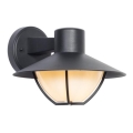 Екстериорен аплик ZALIKA 1xE27/60W/230V IP44 черен