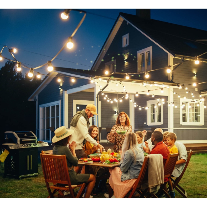 Екстериорен декоративни лампички MIMOSA 10xE27/1,3W/230V IP44 10 m