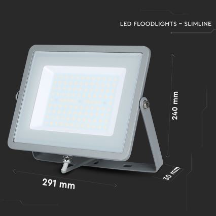 LED Прожектор SAMSUNG CHIP LED/100W/230V 4000K IP65 сив
