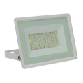 Екстериорен LED прожектор NOCTIS LUX 3 LED/30W/230V 3000K IP65 бял