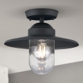Екстериорен полилей за повърхностен монтаж EDWARD 1xE27/60W/230V IP44 черен