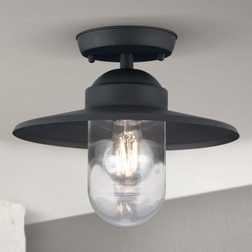 Екстериорен полилей за повърхностен монтаж EDWARD 1xE27/60W/230V IP44 черен