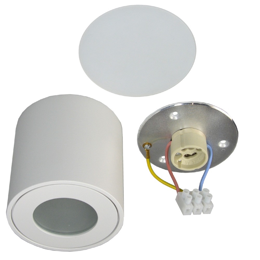 Екстериорна лампа FARA 1xGU10/50W/230V IP54 бяла