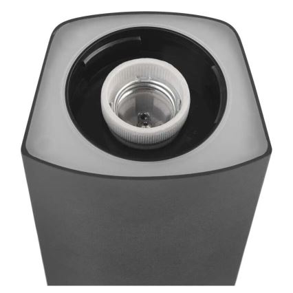 Екстериорна лампа LANA 1xE27/25W/230V IP54 45 см