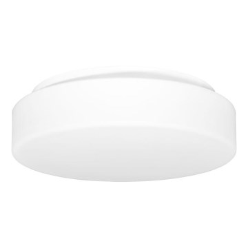 Екстериорна лампа за таван HECTOR 1xE27/60W/230V Ø 30 см IP44 опал бял