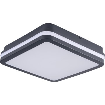 Екстериорна LED лампа за таван BENO LED/24/30W/230V 3000/3500/4000K IP65 антрацит ъглов