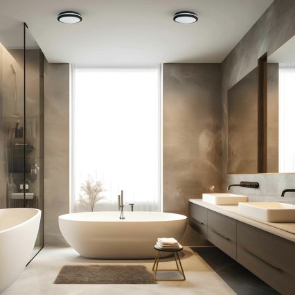 Екстериорна LED лампа за таван MARLON LED/18W/230V 4000K IP54 черен