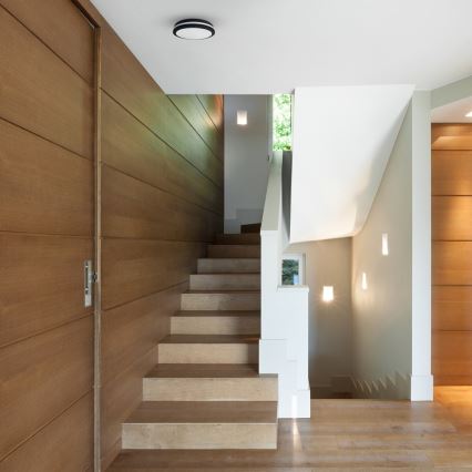 Екстериорна LED лампа за таван MARLON LED/18W/230V 4000K IP54 черен