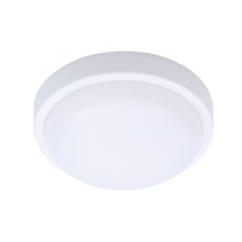 Екстериорна LED лампа за таван SIENA LED/13W/230V Ø 17 cm IP54 бял