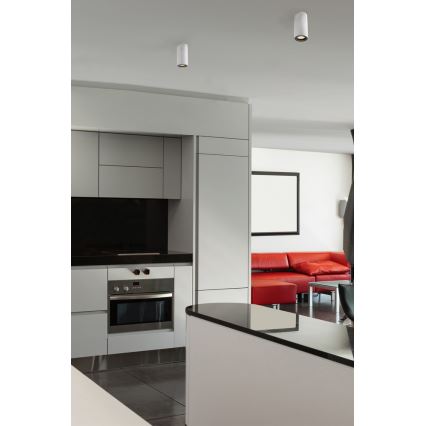 FARO 64190 - Точково осветително тяло NAN 1xGU10/50W/230V