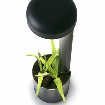 FARO 71206 - LED Екстериорна лампа GROW 1xLED/9W/230V IP65