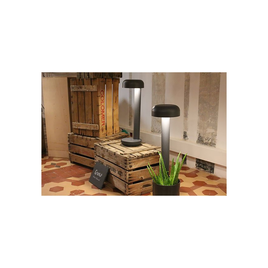 FARO 71206 - LED Екстериорна лампа GROW 1xLED/9W/230V IP65