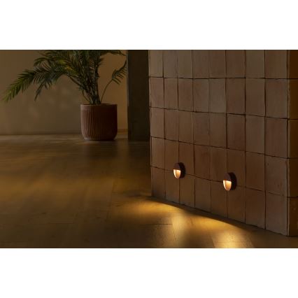 FARO 71962 - LED стълбищно осветително тяло DUNE LED/3W/230V 2200/2700/3200/4000K IP65 кафяво кръгло