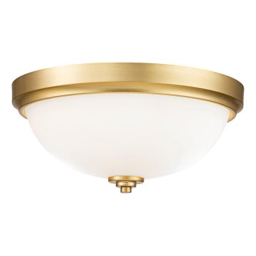 Feiss - Плафон за баня MALIBU 2xE27/60W/230V IP44