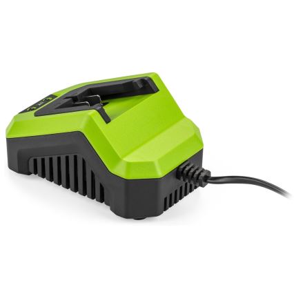 Fieldmann - Бързо зареждаща станция 230V