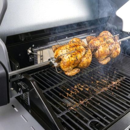 Fieldmann - Шиш за грил с електрически мотор 230V, неръждаема стомана