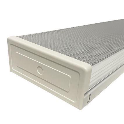 Флуоресцентна лампа T8 2xG13/18W/230V 124 cm