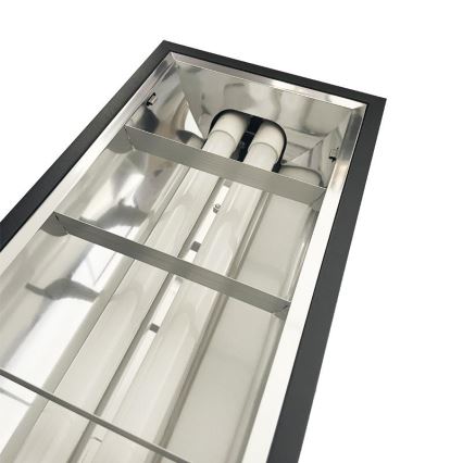 Флуоресцентна лампа T8 2xG13/18W/230V 120 cm черен