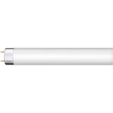 Флуоресцентна тръба G13/36W/230V 120 cm