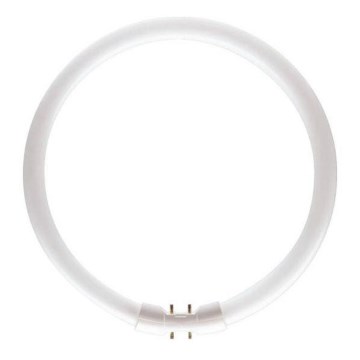 Флуоресцентна тръба Philips MASTER 2GX13/55W/230V 4000K Ø 30,5 см