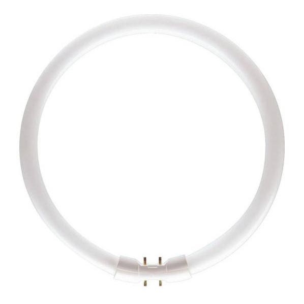 Флуоресцентна тръба Philips MASTER 2GX13/55W/230V 4000K Ø 30,5 см
