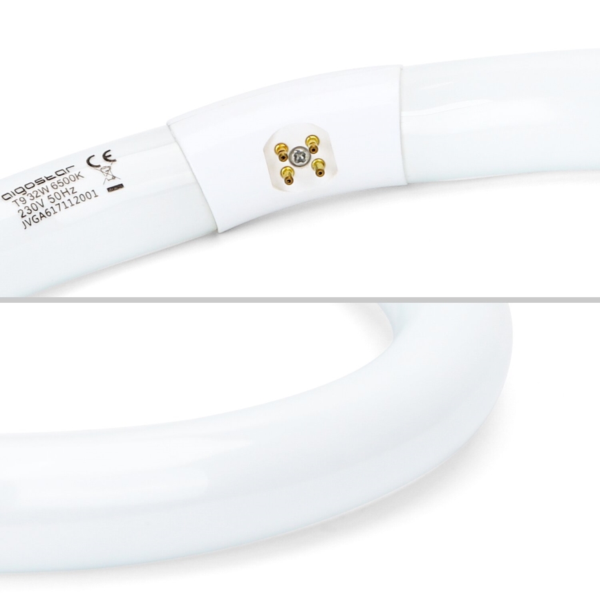 Флуоресцентна тръба T9 G10q/32W/230V 6500K - Aigostar