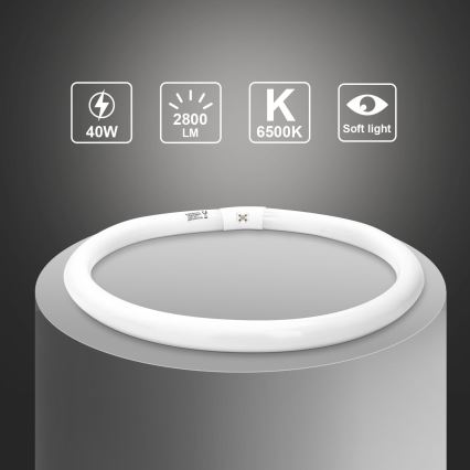 Флуоресцентна тръба T9 G10q/40W/230V 6500K - Aigostar