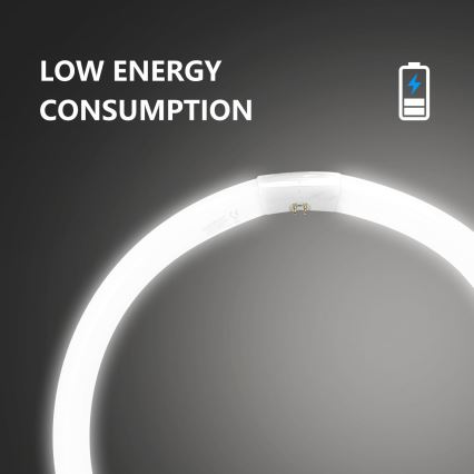 Флуоресцентна тръба T9 G10q/40W/230V 6500K - Aigostar