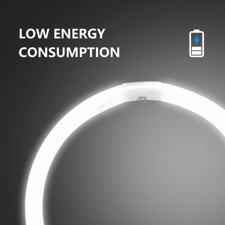 Флуоресцентна тръба T9 G10q/40W/230V 6500K - Aigostar