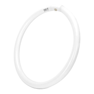 Флуоресцентна тръба T9 G24q-1/40W/230V 6500K - Aigostar