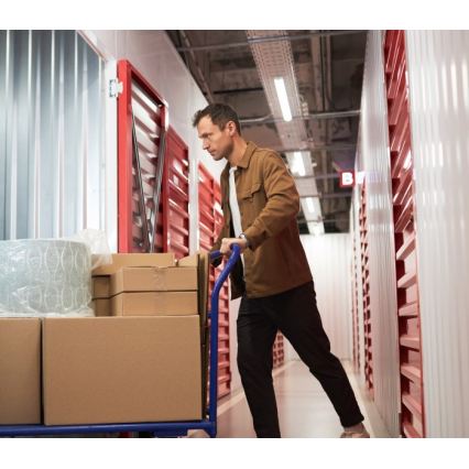 Флуоресцентно осветително тяло T8 DELFIA 2xG13/18W/230V 124 см бяло