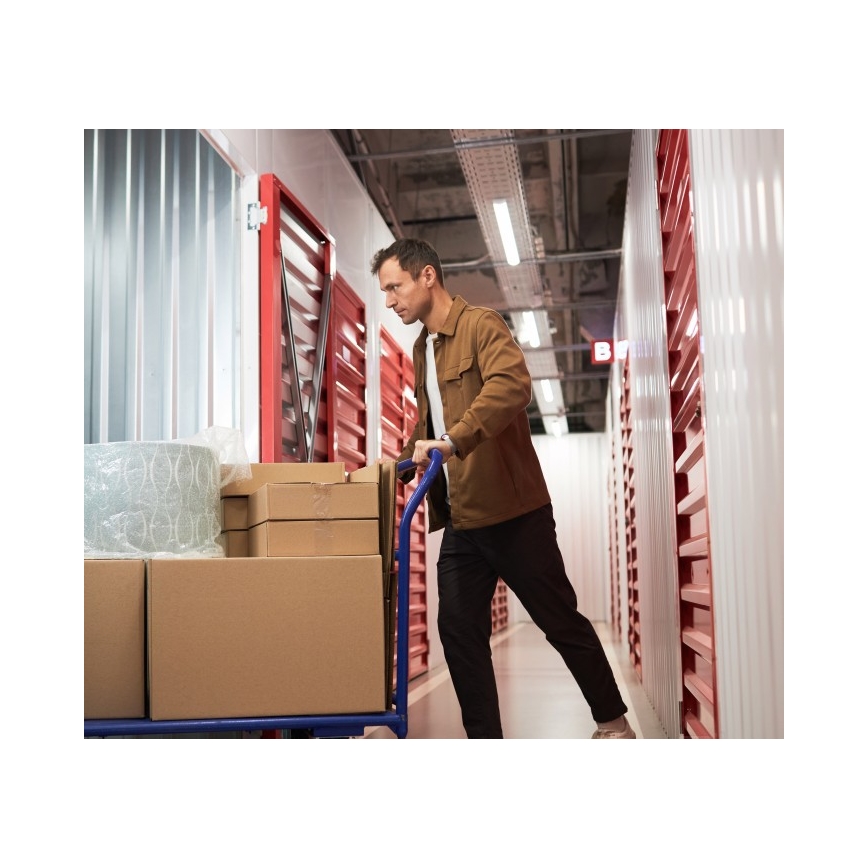 Флуоресцентно осветително тяло T8 DELFIA 2xG13/18W/230V 124 см бяло