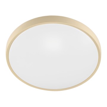 Fulgur 27480 - Рамка с дифузьор за таванен осветител VERA 420 GOLD
