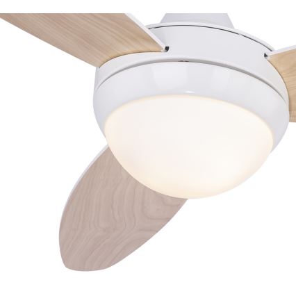 Globo 03612 - Таванна Вентилатор CORDULA 2xE14/40W/230V + управление