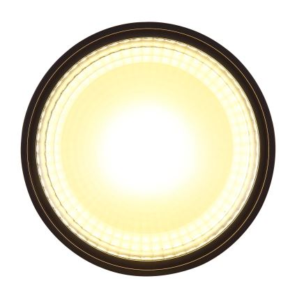 Globo - LED Плафониера LED/12W/230V 3000K