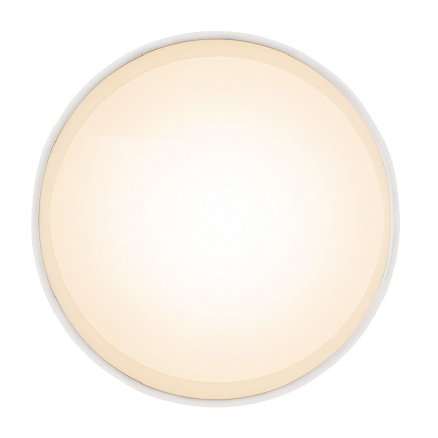 Globo - LED Лампа за таван LED/8W/230V
