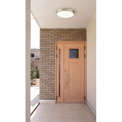 Globo - димируемо LED таванно осветително тяло LED/28W/230V