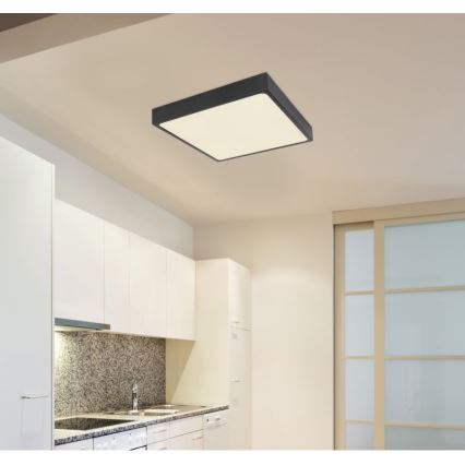 Globo - LED Лампа за таван LED/28W/230V
