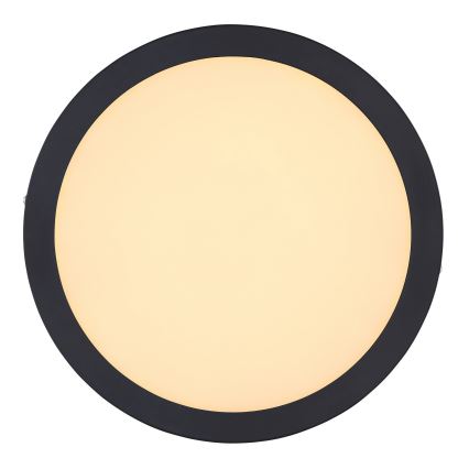 Globo - LED Лампа за таван LED/22W/230V