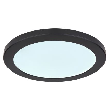 Globo - LED Плафониера LED/24W/230V 3000/4000/6500K черен