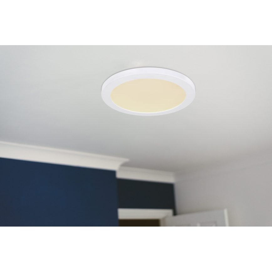 Globo - LED Плафониера LED/24W/230V 3000/4000/6500K бял