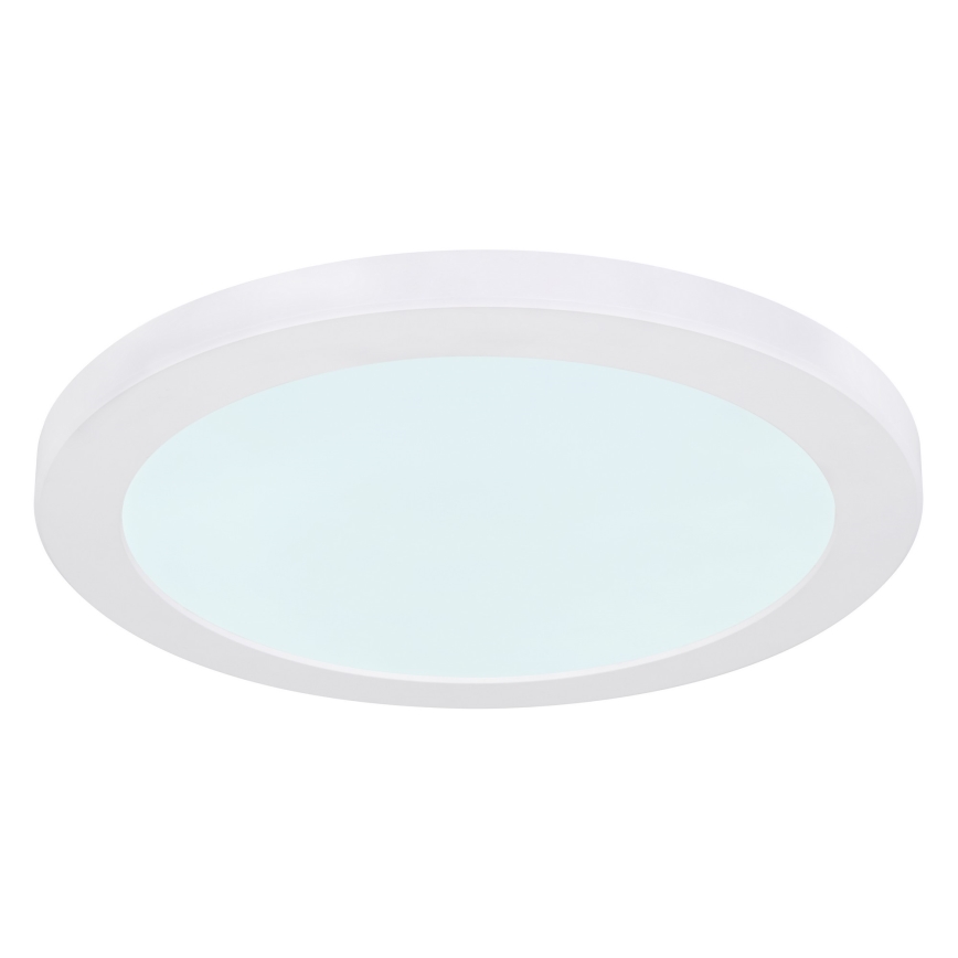Globo - LED Плафониера LED/24W/230V 3000/4000/6500K бял