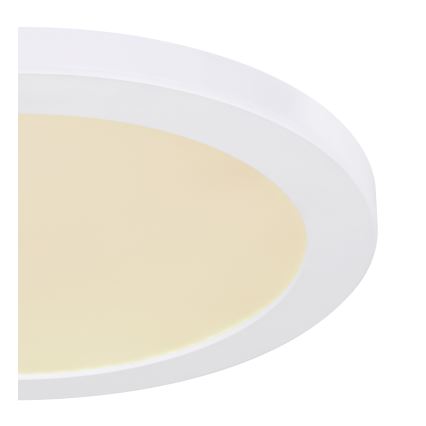 Globo - LED Плафониера LED/24W/230V 3000/4000/6500K бял