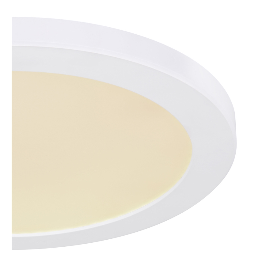 Globo - LED Плафониера LED/24W/230V 3000/4000/6500K бял